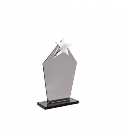 HZ-291 KRİSTAL PLAKET YILDIZLI